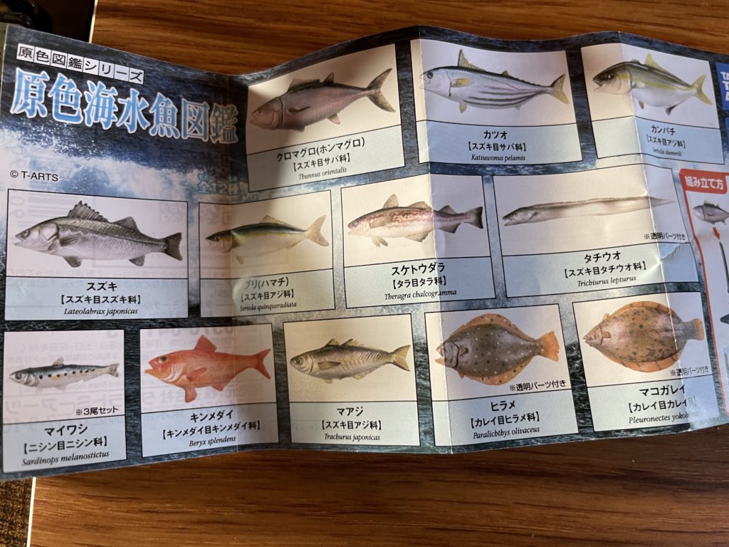 原色海水魚図鑑