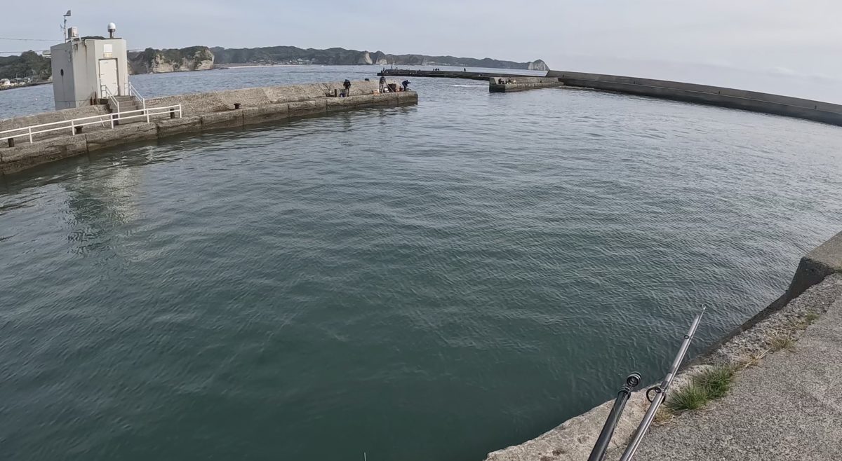 興津港釣りポイント